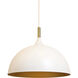 Lohn 1 Light Matte White Pendant Ceiling Light